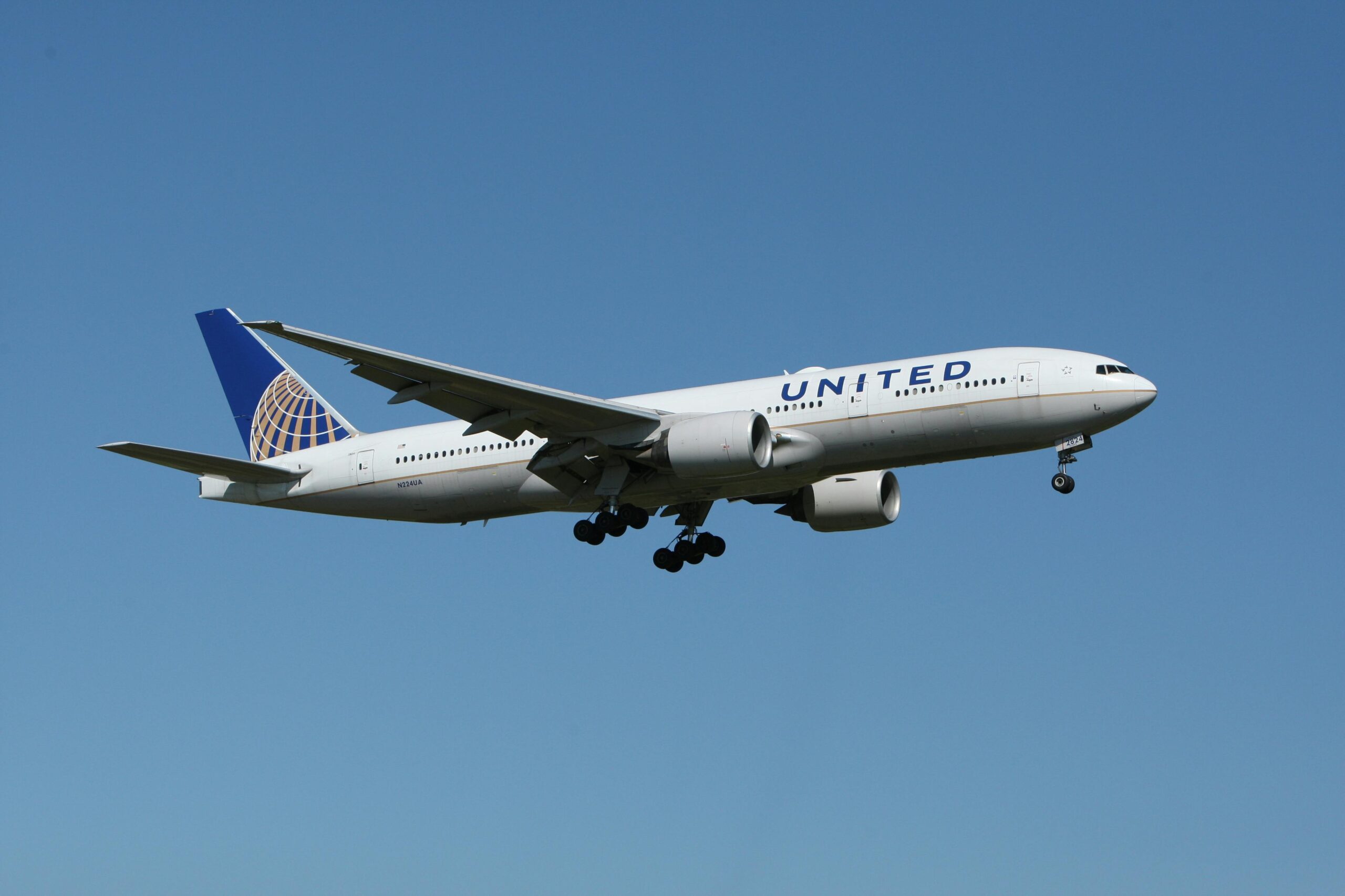 Explore the Different Types of Travelers Insurance Policies